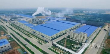 科林通过维尚家居验厂审核 成为其华东区首家战略供应商